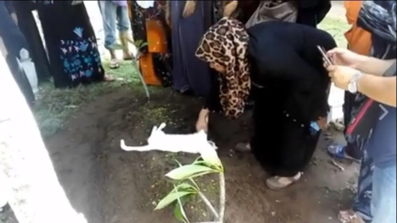 [Bintang] Kucing Ini Tak Mau Meninggalkan Kuburan, Ceritanya Bikin Sedih