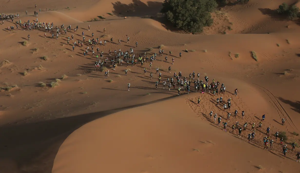 Foto aerial menunjukkan para peserta melintasi bukit pasir saat mereka mengikuti kompetisi Marathon des Sables ke-33 di gurun Sahara, Maroko (13/4). (AP Photo / Mosa'ab Elshamy)