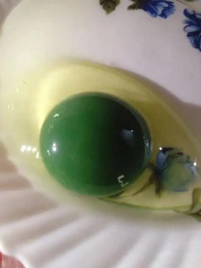 Kuning Telur Berubah Warna