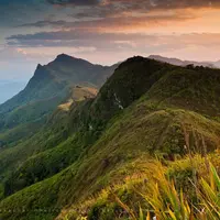 Doi Pha Tang, Chiang Rai, Thailand. (Ekkachai)