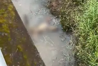Jenazah perempuan korban pembunuhan di Sungai Enim. (istimewa)