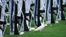 Seekor burung merpati berada di dekat lokasi saat pasukan kehormatan berdiri dalam sikap sempurna dalam upacara pengibaran bendera untuk memperingati HUT ke-81 kemerdekaan negara tersebut di Istana Merdeka, Jakarta, Indonesia, Senin, 17 Agustus 2026. (Foto AP/Tatan Syuflana)