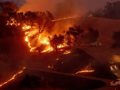 Api membakar lereng bukit di kawasan Sonoma, California, Amerika Serikat, Sabtu (26/10/2019). Kebakaran hutan kian tak terkendali akibat angin kencang yang bertiup. (AP Photo/Nuh Berger)