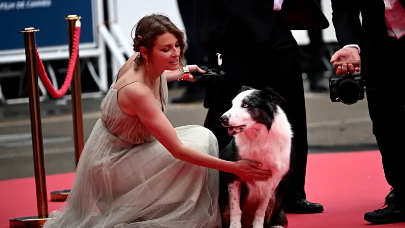Messi, bintang anjing dari film 'Anatomie d'une Chute' (Anatomy of a Fall) dan pelatih anjing Perancisnya Laura Martin di Festival Film Cannes