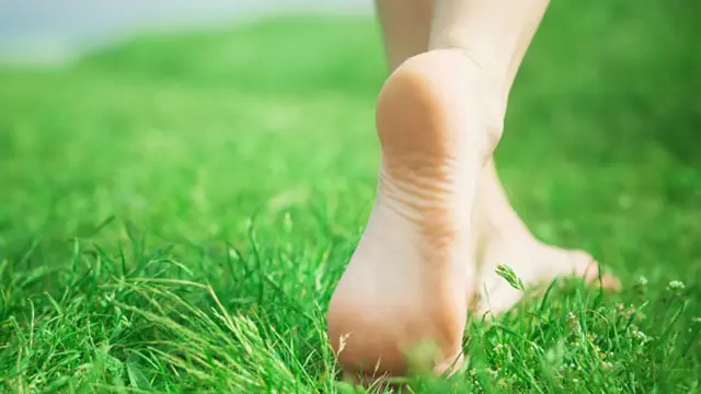 (c) shutterstock.com