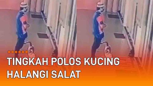 VIDEO: Tingkah Polos Kucing Halangi Sajadah Umat yang Salat