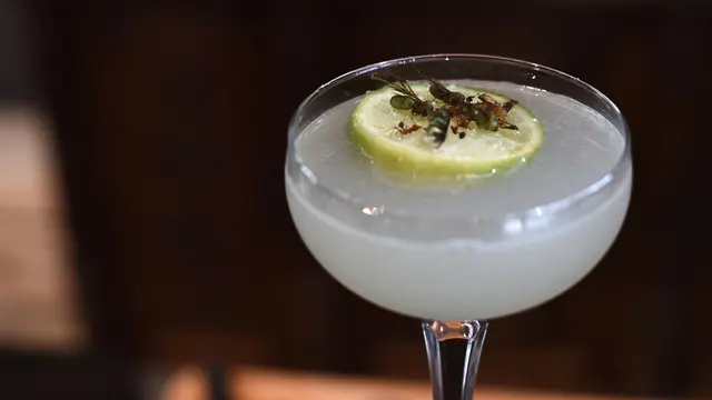 Restoran di Bangkok Sajikan Serangga