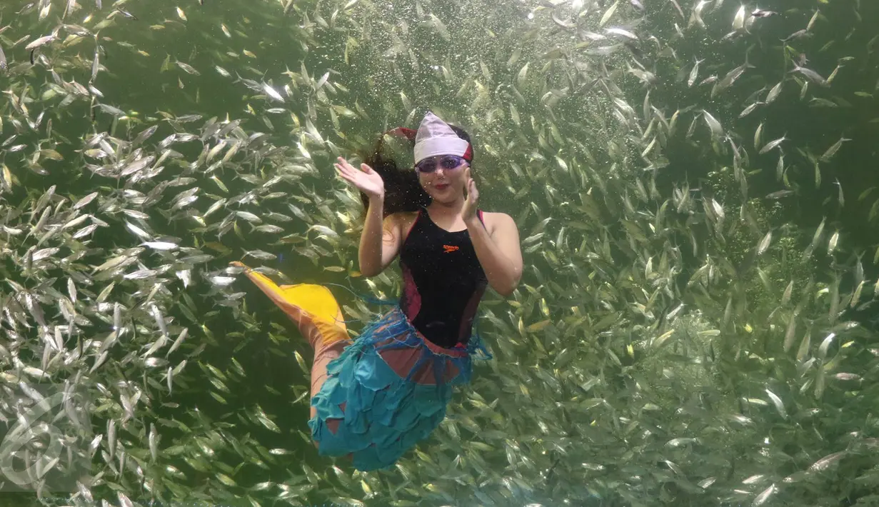Balerina beratribut putri duyung meramaikan pengibaran bendera Merah Putih di dalam aquarium Ocean Dream Samudra, Ancol, Jakarta (17/8). Beragam acara  disiapkan Taman Impian Jaya Ancol pada HUT RI ke-71 ini. (Liputan6.com/Immanuel Antonius)