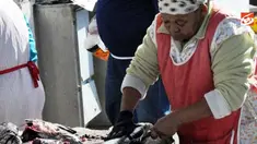 Ikan hasil tangkapan nelayan Kalk Bay, Cape Town, Afsel.