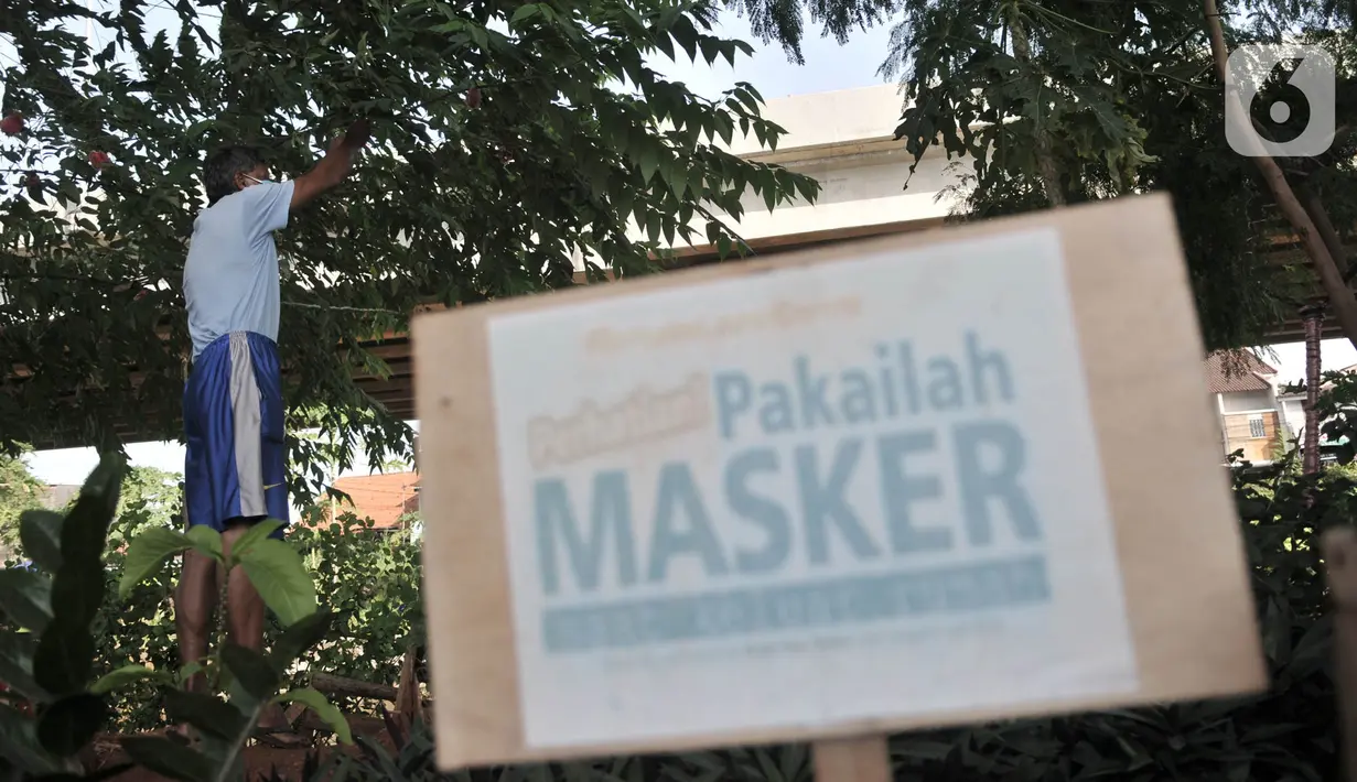 Pungki (53) merawat tanaman perkebunan di kolong Tol Becakayu, Kalimalang, Jakarta, Kamis (4/6/2020). Selain tanaman, kebun yang berada di pinggir Kalimalang ini dihiasi bangku santai dan pot-pot yang terbuat dari barang bekas. (merdeka.com/Iqbal S. Nugroho)