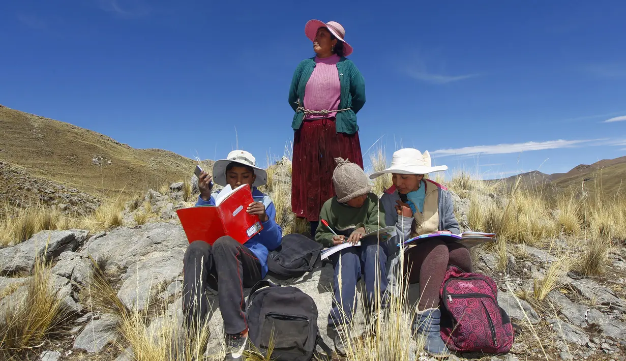 Cabrera bersaudara ditemani ibu mereka, Raymunda Charca menghadiri kelas virtual dari atas bukit di komunitas dataran tinggi Conaviri yang terpencil di Andes Peru, 24 Juli 2020. Mereka harus naik ke puncak bukit untuk mencari sinyal ponsel untuk menghadiri kelas virtual. (Carlos MAMANI/AFP)