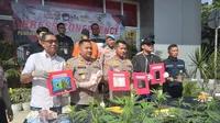 Polres Kota Tangerang menangkap seorang pria berinisial RA dari Tangerang kedapatan menanam daun ganja di pot rumahnya untuk dikonsumsi sendiri. (Pramita Tristiawati/Liputan6.com).