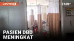 Pasien DBD di Brebes Meningkat, Dilaporkan 4 Orang Meninggal Dunia