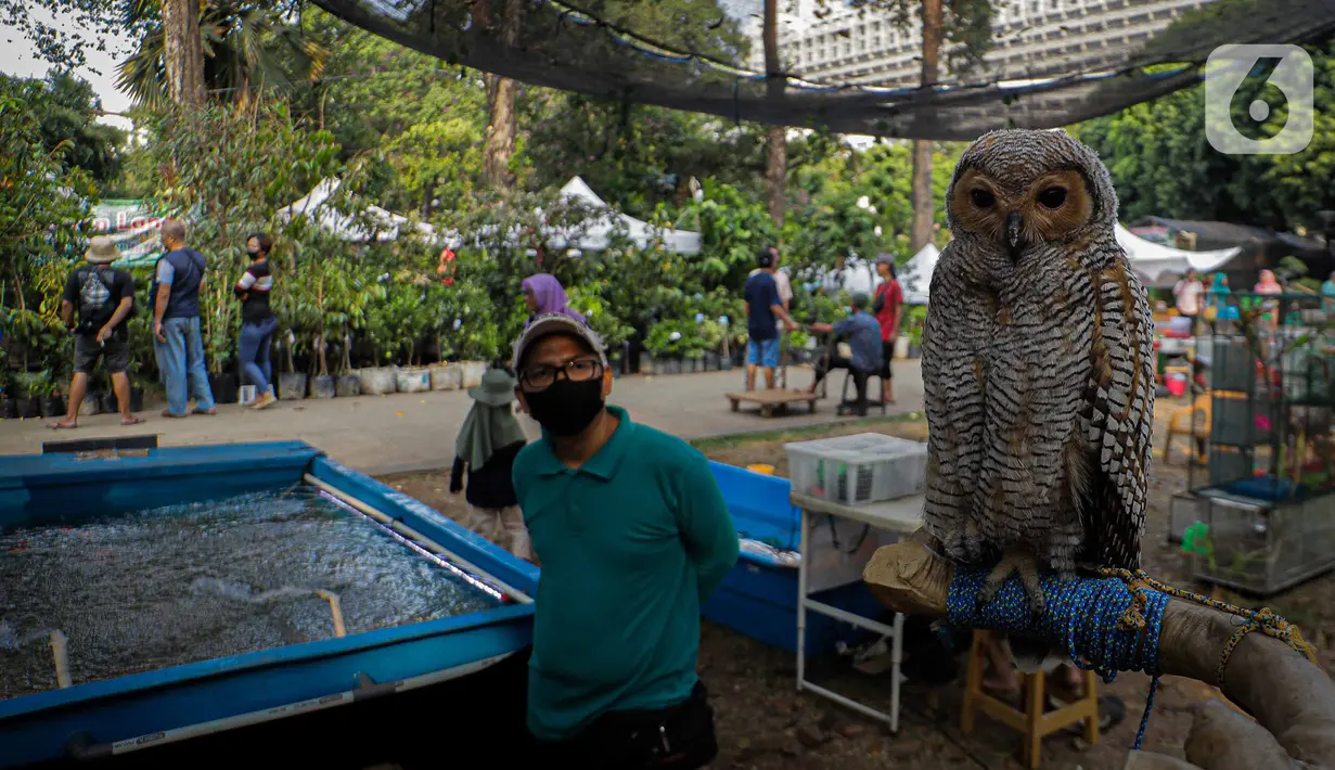 Hal tersebut sejalan dengan upaya Pemprov DKI Jakarta yang rutin melakukan penanaman pohon di seluruh wilayah DKI Jakarta. (Liputan6.com/Faizal Fanani)
