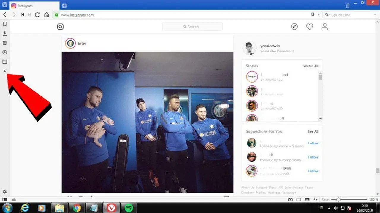 browser Vivaldi