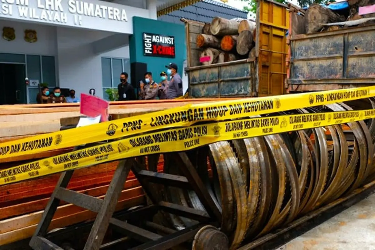 Barang bukti ilegal logging sitaan Polda Riau beberapa waktu lalu.