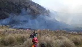 Berawal di Jalur Tradisional, Kebakaran Bromo Diduga Bukan Faktor Alam