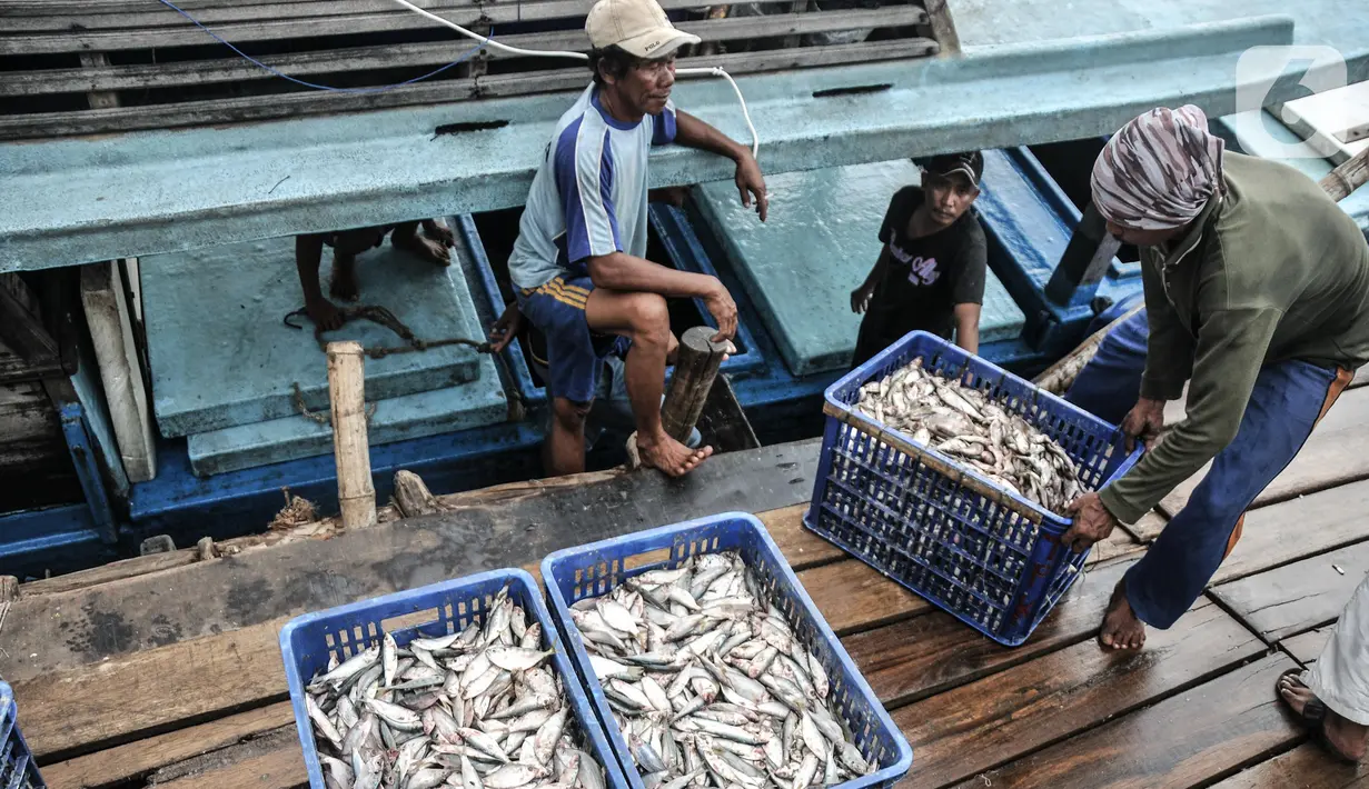 Aktivitas nelayan saat bongkar muat ikan di dermaga Kalibaru, Cilincing, Jakarta, Rabu (23/3/2022). Sejumlah jenis ikan konsumsi harian rumah tangga seperti ikan kembung, layang, cakalang, dan tongkol mengalami kenaikan harga akibat tingginya permintaan jelang Ramadan (merdeka.com/Iqbal S Nugroho)