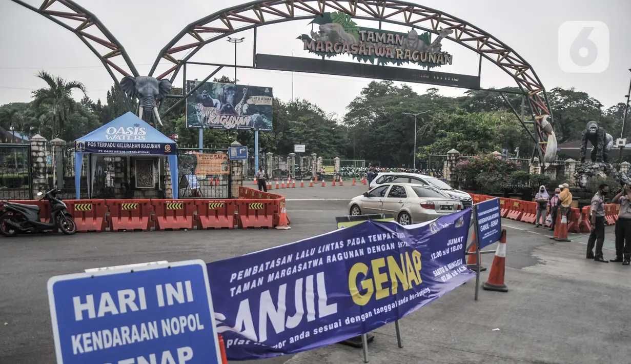 Mobil berpelat ganjil putar balik saat pemberlakuan ganjil genap di Taman Margasatwa Ragunan, Jakarta, Minggu (24/10/2021). Sistem ganjil genap di tempat wisata berlaku pada hari Jumat mulai pukul 12.00-18.00 WIB serta Sabtu dan Minggu pukul 07.00-14.30 WIB. (merdeka.com/Iqbal S. Nugroho)