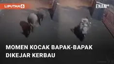 Beredar sebuah video viral terkait bapak-bapak dikejar kerbau. Sang bapak tengah naik motor dan melintasi pos jaga di sebuah perumahan