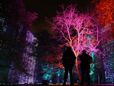 Pengunjung melihat instalasi cahaya yang berjudul 'Waterfalls' pada sesi pemotretan di Kew Gardens, London, Selasa (19/11/2019). Pemasangan lampu tersebut untuk menyambut Natal dan peluncuran acara "Christmas at Kew Gardens". (Daniel LEAL-OLIVAS / AFP)