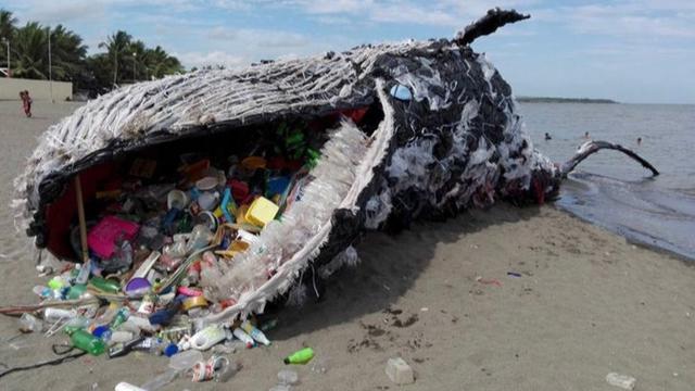 Paus tersedak sampah plastik