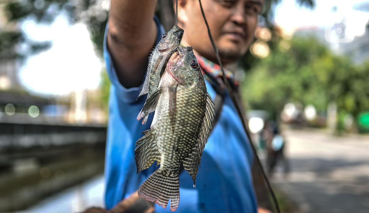Warga menunjukkan ikan hasil memancing di Kali Ancol, Jakarta Utara, Kamis (11/3/2021). Kali Ancol menjadi wisata alternatif warga, terutama bagi yang hobi memancing untuk menghabiskan waktu liburan. Selain orang dewasa, sejumlah anak-anak pun terlihat asyik memancing di Kali Ancol. (merdeka.com/Iqb