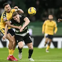 Pemain Sporting CP, Viktor Gyokeres (kedua kiri) berebut bola dengan pemain Estoril Praia, Pedro Alvaro dalam laga lanjutan Liga Portugal 2024/2025 di Stadion Jose Alvalade, Lisbon, Portugal, Senin (03/03/2025) waktu setempat. (AFP/Patricia De Melo Moreira)