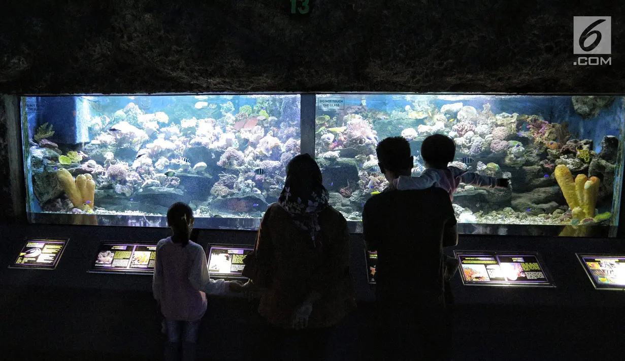Sebuah keluarga mengamati ikan di akuarium SeaWorld Ancol, Jakarta, Jumat (17/8). Seaworld menjadi tempat wisata alternatif warga saat libur panjang akhir pekan ini yang bertepatan dengan HUT ke-73 Republik Indonesia. (Liputan6.com/Faizal Fanani)