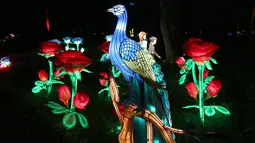 Instalasi cahaya dalam sebuah pertunjukan lentera bertajuk "Taman Ajaib" di Tropical Botanical Garden di Lisbon, Portugal pada 28 Desember 2020. Perhelatan itu akan berlangsung hingga 10 Januari 2021 mendatang. (Xinhua/Pedro Fiuza)