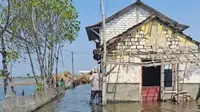 Dampak Parah Banjir Rob di Pati