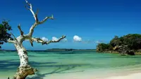 10 Wisata Alam Terbaik di Kupang NTT, Mungkinkah Cristiano Ronaldo akan Berkunjung?
