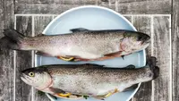 Mengenal DNA Trout untuk Perawatan Kecantikan Regeneratif