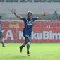 Penyerang Persib, Zulham Zamrun (kedua kanan) melakukan selebrasi usai menjebol gawang Barito Putera pada Torabika Soccer Championship presented by IM3 Ooredoo di Stadion Pakansari, Bogor, Sabtu (13/8). Persib menang 2-0. (Liputan6.com/Helmi Fithriansyah)