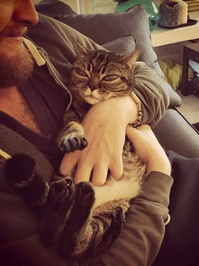 Kucing Bermata Alien Ini Sedang Jadi Perbincangan di Dunia Maya