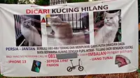 Pengumuman kucing hilang berhadiah (Sumber: Twitter/recehtapisayng)