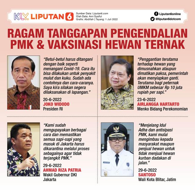 Infografis Ragam Tanggapan Pengendalian PMK dan Vaksinasi Hewan Ternak. (Liputan6.com/Abdillah)
