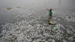 Pekerja mengumpulkan ikan mati yang hanyut ke daratan Freedom Island di sepanjang Teluk Manila, Filipina, Jumat (11/10/2019). Teluk Manila menjadi salah satu saluran air yang paling tercemar di negara tersebut. (Ted ALJIBE/AFP)