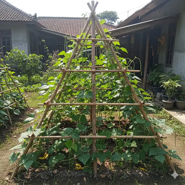 Piramida Sayuran dari Bambu (Gemini AI)