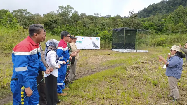 Perwakilan Pemda Garut, PGE Karaha, BKSDA dan PKEK Kamojang, tengah melakukan pelepasliaran sepasang elang jenis ular di hutan Talaga Bodas, Garut, Jawa Barat