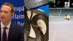 Video Hit kali ini hadir dari berita penyesalan Zuckerberg atas penyalahgunaan data Facebook, ular di tumpukan ikat pinggang, dan pria yang meninggal saat main bulutangkis.