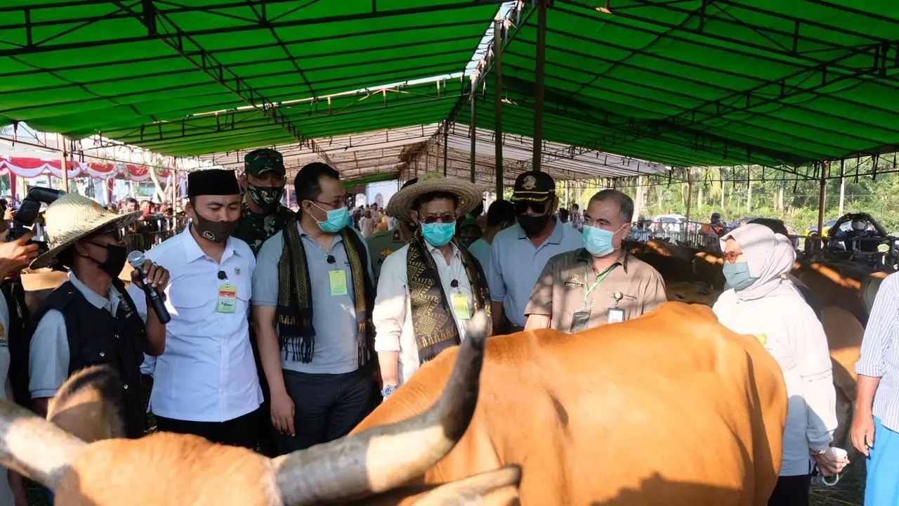 Mentan Syahrul Yasin Limpo melakukan panen 800 ekor pedet (sapi) beserta induknya di Desa Barabali, Kabupaten Lombok Tengah, NTB. (Dok Kementan)