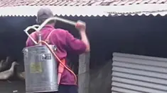 liputan6