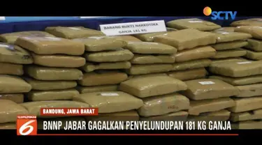 BNNP Jabar ringkus lima kawanan pengedar ganja seberat 181 kilogram.