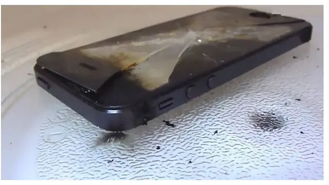 7 Momen Apes saat Memakai Microwave Ini Bikin Geleng Kepala