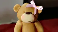 Seorang ibu kecewa menerima Teddy Bear pesanannya memiliki garis seperti alat vital wanita.

