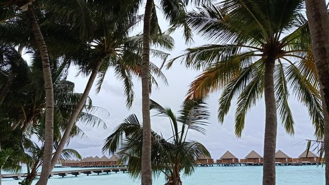 Kapan Waktu Terbaik Berwisata ke Maladewa?