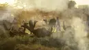 Seorang penggembala unta berjalan melewati unta-unta saat pameran ternak tahunan di Pushkar, India, 11 November 2021. Pushkar adalah tempat ziarah Hindu populer yang juga sering dikunjungi oleh turis asing pada pameran ternak tahunannya. (AP Photo/Deepak Sharma)