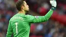 5. Lukasz Fabianski (Swansea City) - Pria asal Polandia ini merupakan pertahanan yang kokoh di mistar gawang Swansea City. Dia selalu tampil displin dan sudah mencatatkan rekor dengan 100 penyelamatan musim ini. (AFP/Glyn Kirk)