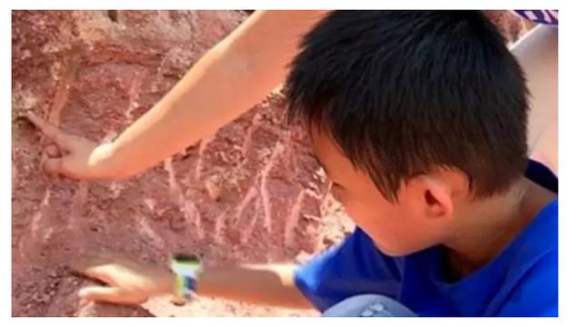 Tak Terduga, Bocah Ini Temukan 11 Telur Dinosaurus Ketika Bermain di Tepi Sungai